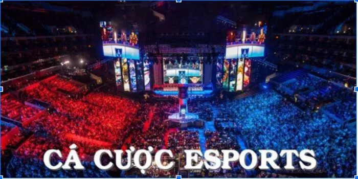 Cá cược Esport là danh mục được nhiều người chơi yêu thích tại các sân chơi trực tuyến