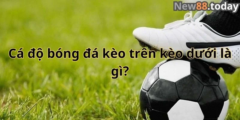 Cá độ bóng đá kèo trên kèo dưới là gì?