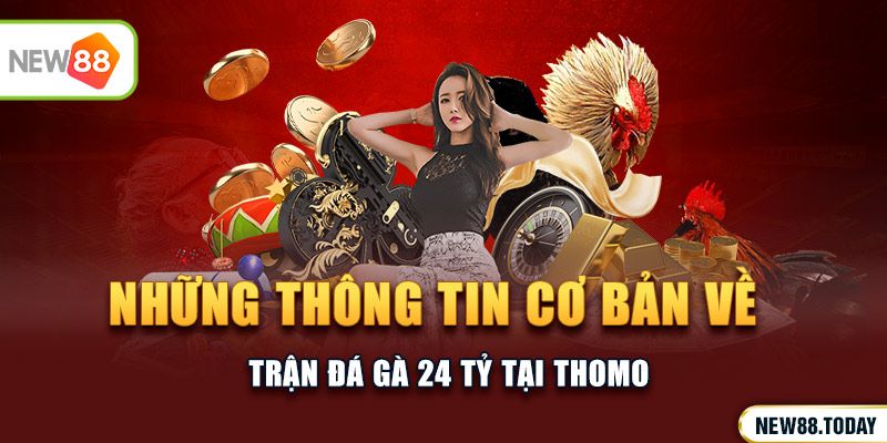 Những thông tin cơ bản về trận đá gà 24 tỷ tại thomo