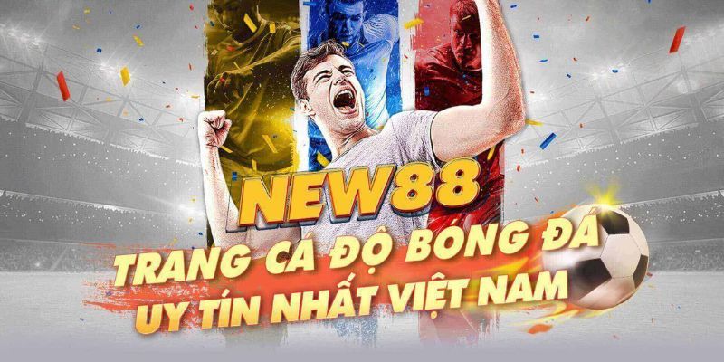 Giới thiệu khái quát về sân chơi cá độ bóng đá NEW88